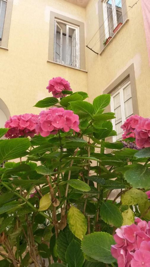 Casa Girasole Villa San Giorgio a Cremano Ngoại thất bức ảnh